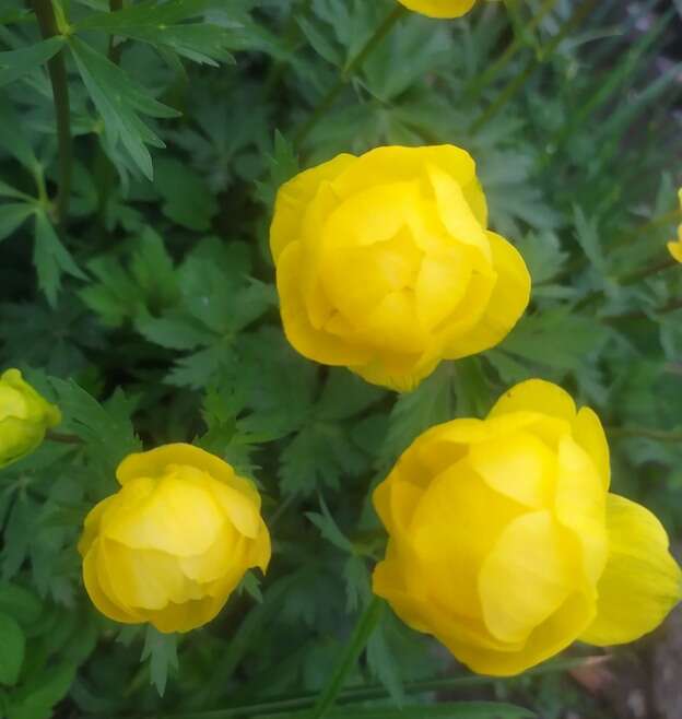 Zakątek świetlicowy