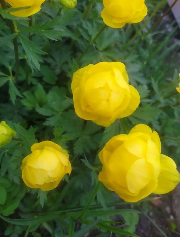 Zakątek świetlicowy