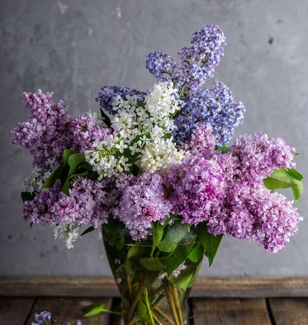 PODZIĘKOWANIE DLA RODZICÓW