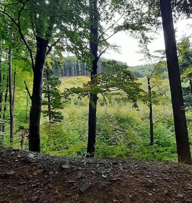 Wycieczka na Równicę